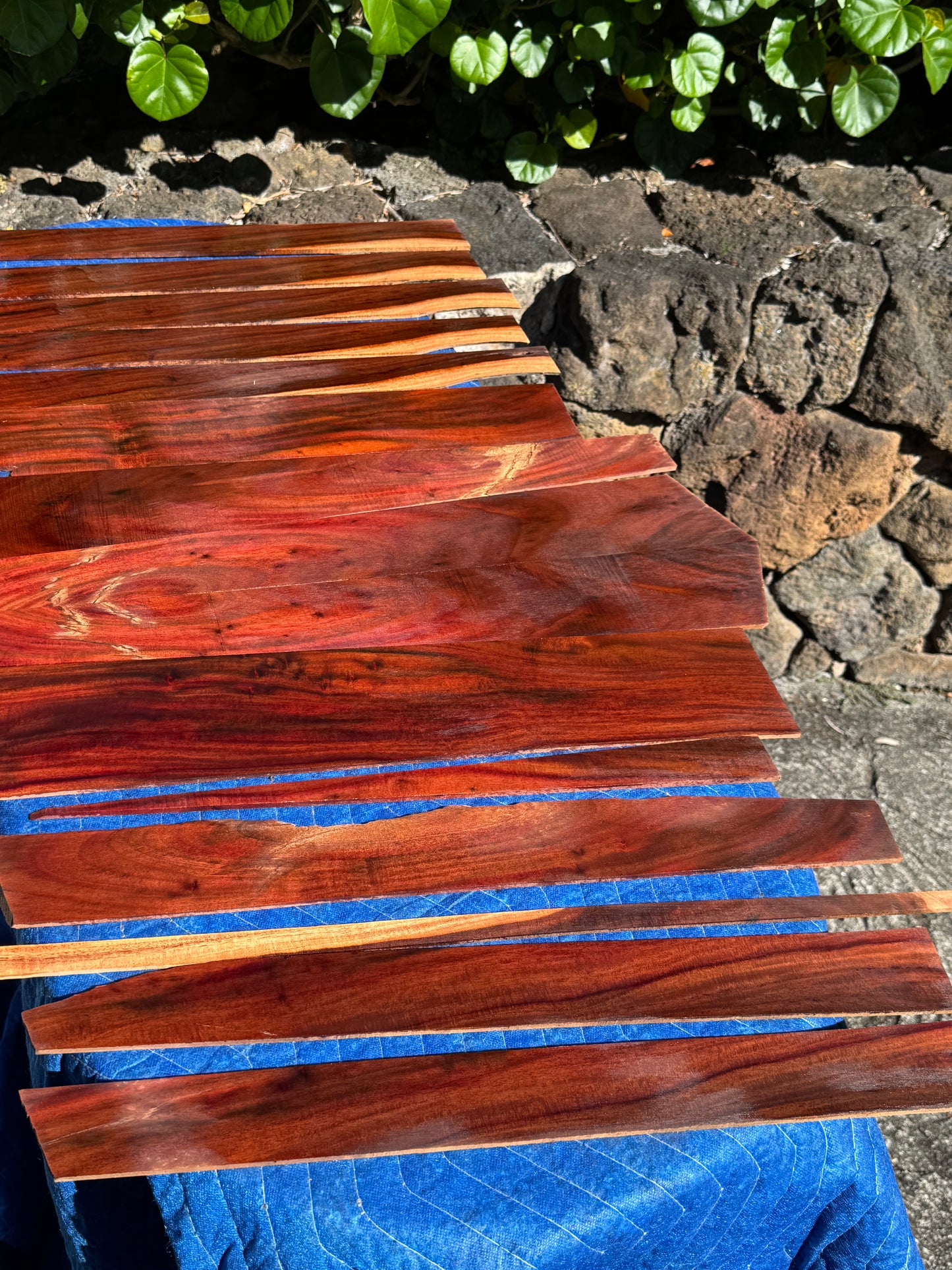 45 pieces of reclaimed Milo wood 4mm thin 9-24” long by 1/2-5.5” wide