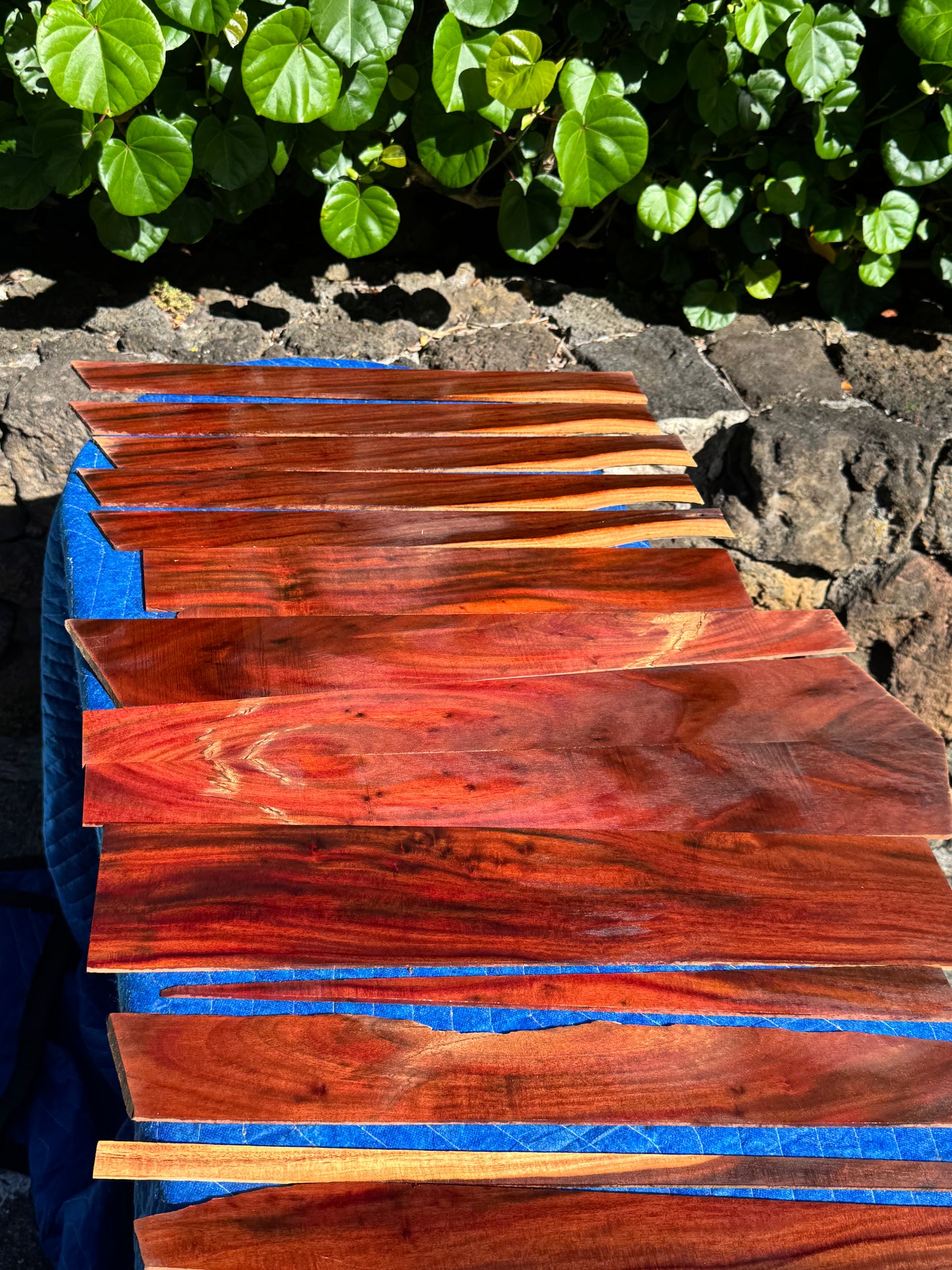 45 pieces of reclaimed Milo wood 4mm thin 9-24” long by 1/2-5.5” wide