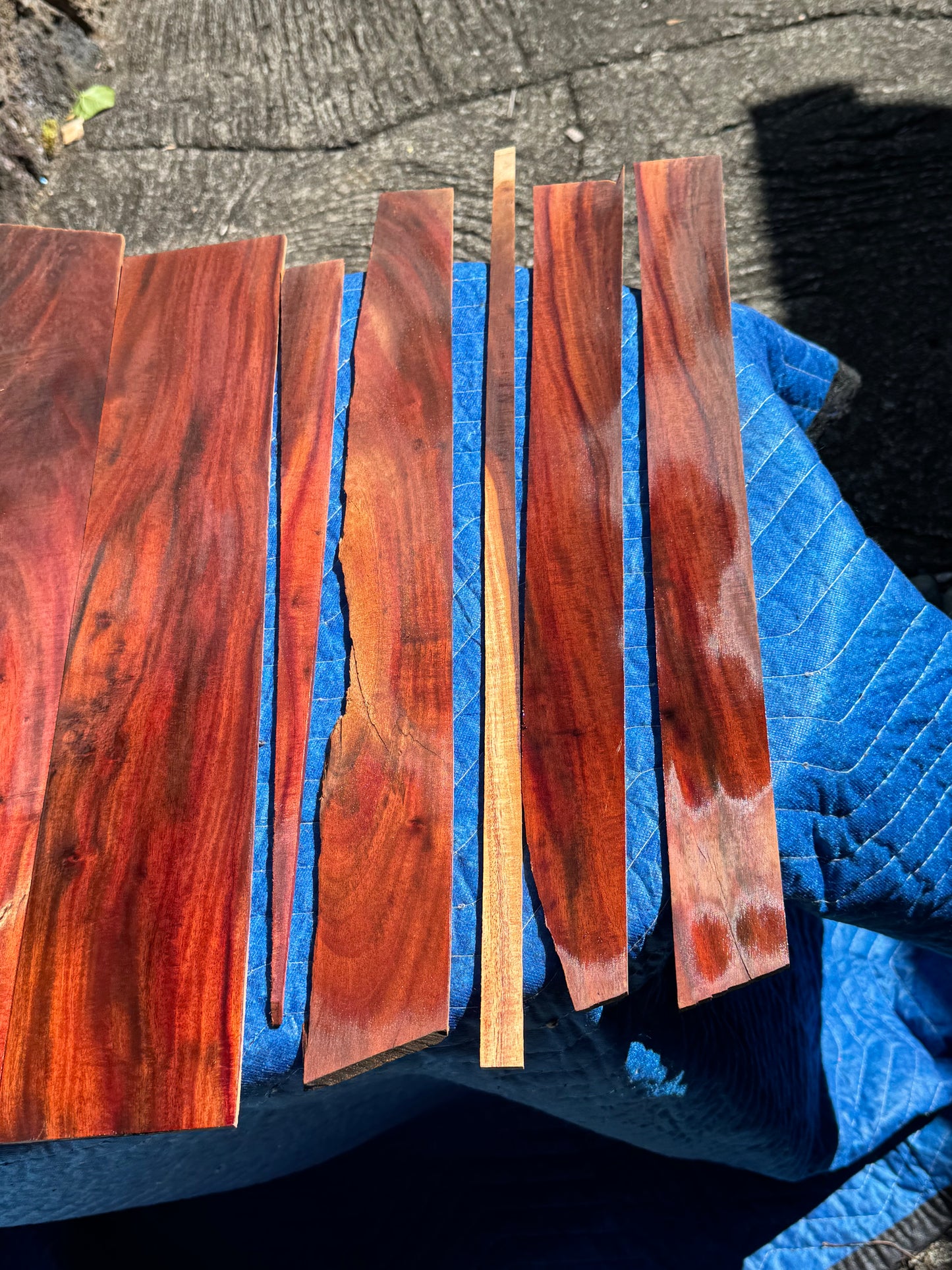 45 pieces of reclaimed Milo wood 4mm thin 9-24” long by 1/2-5.5” wide