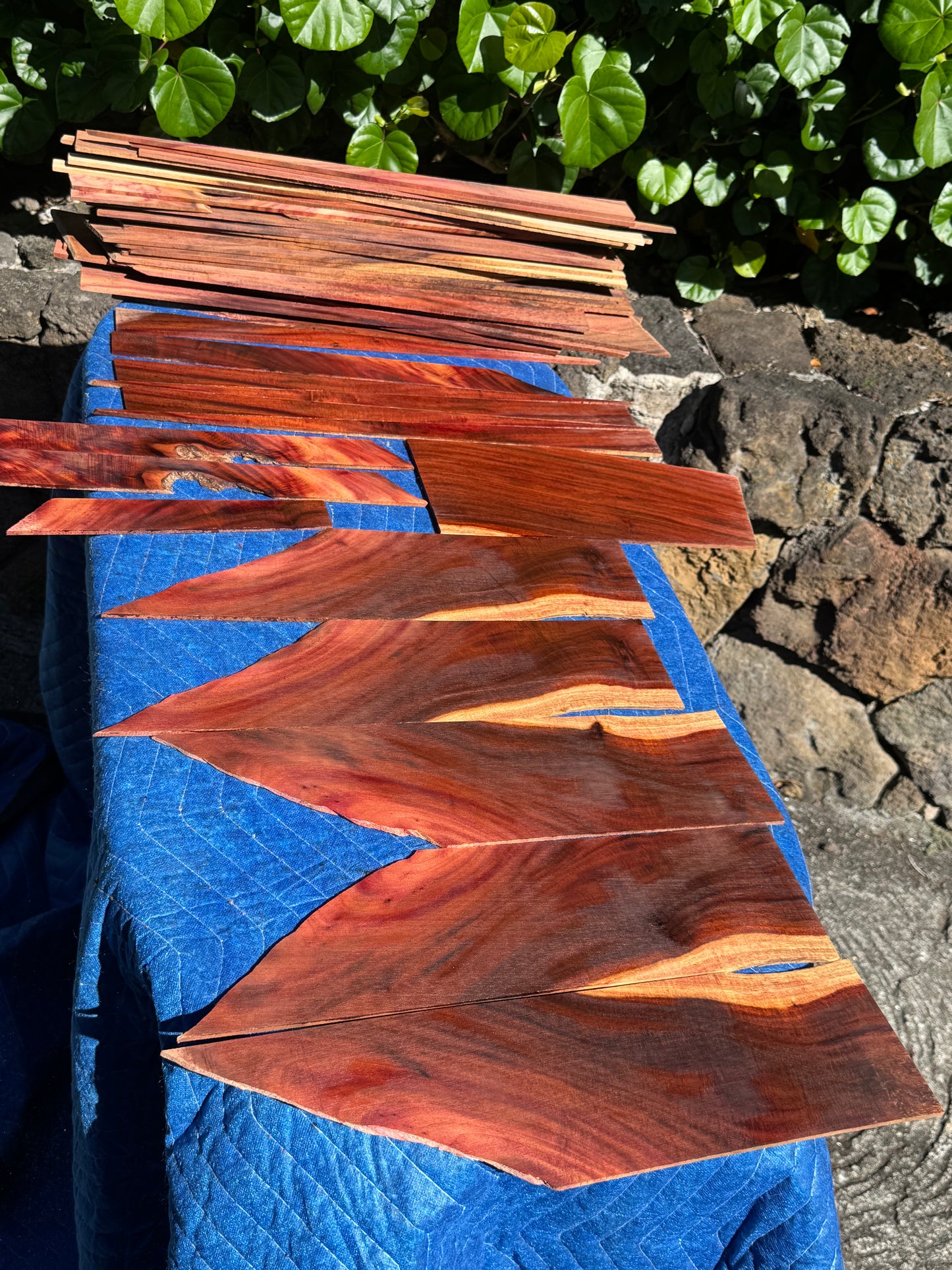45 pieces of reclaimed Milo wood 4mm thin 9-24” long by 1/2-5.5” wide