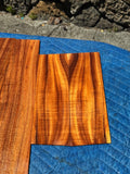 Premium Curly Koa Concert Ukulele 6 piece set