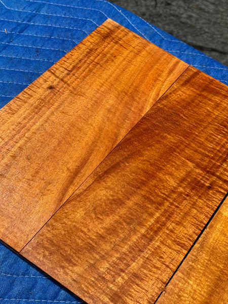 Curly Koa tenor Ukulele 4 piece set