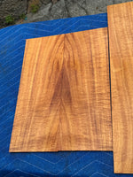 Curly Koa tenor Ukulele 4 piece set