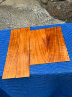 Curly Koa tenor Ukulele 4 piece set