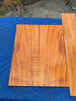 Curly Koa tenor Ukulele 4 piece set