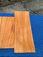 Curly Koa tenor Ukulele 4 piece set
