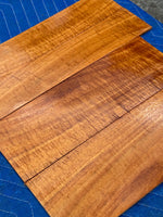 Curly Koa tenor Ukulele 4 piece set