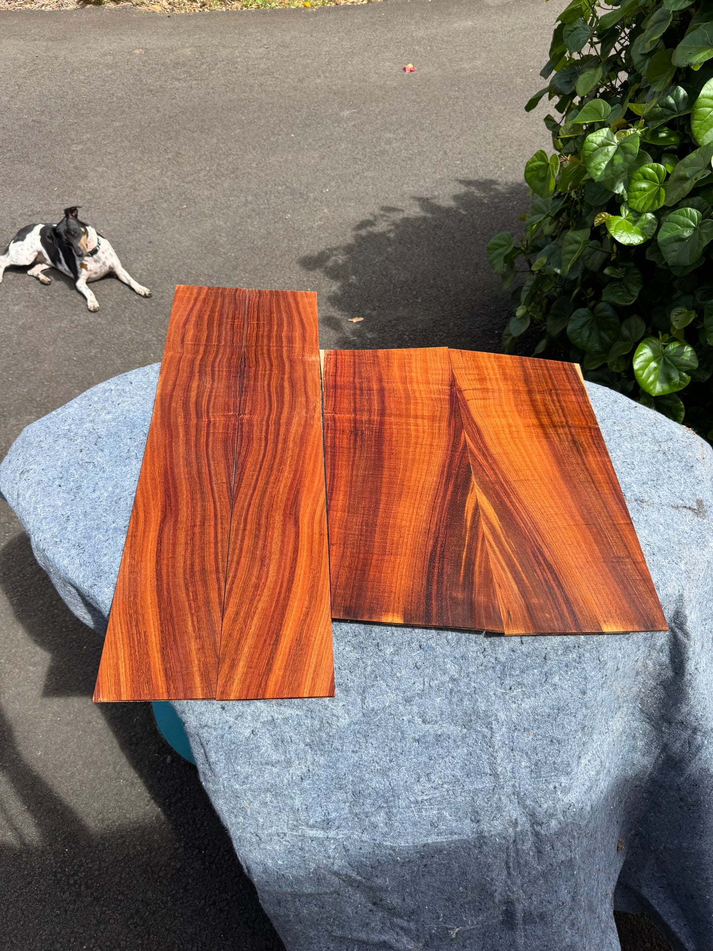 2A Koa Jumbo Guitar 4 piece set