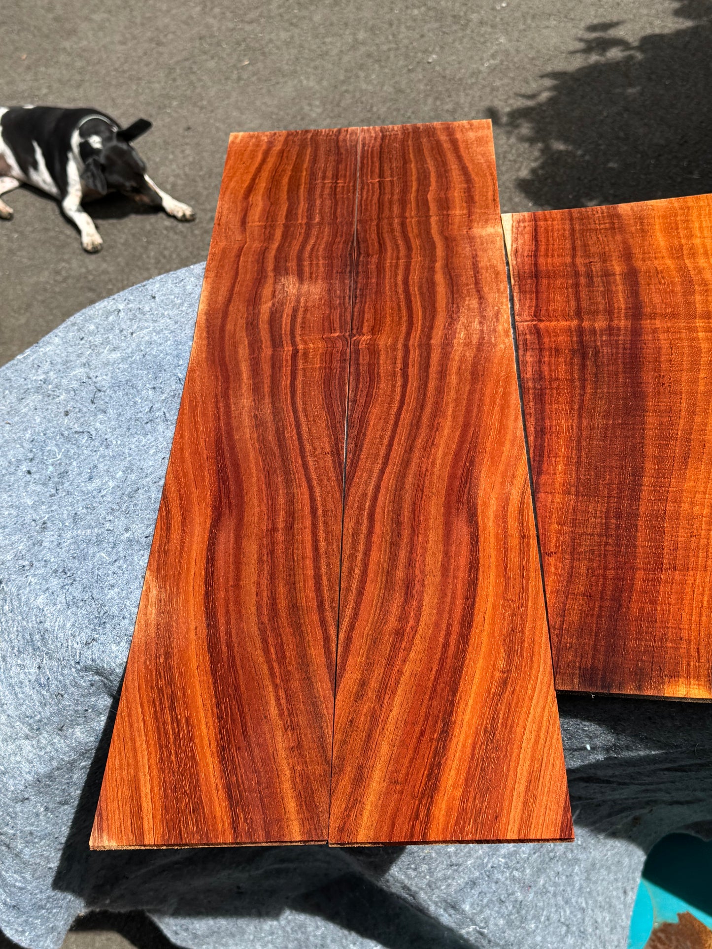 2A Koa Jumbo Guitar 4 piece set