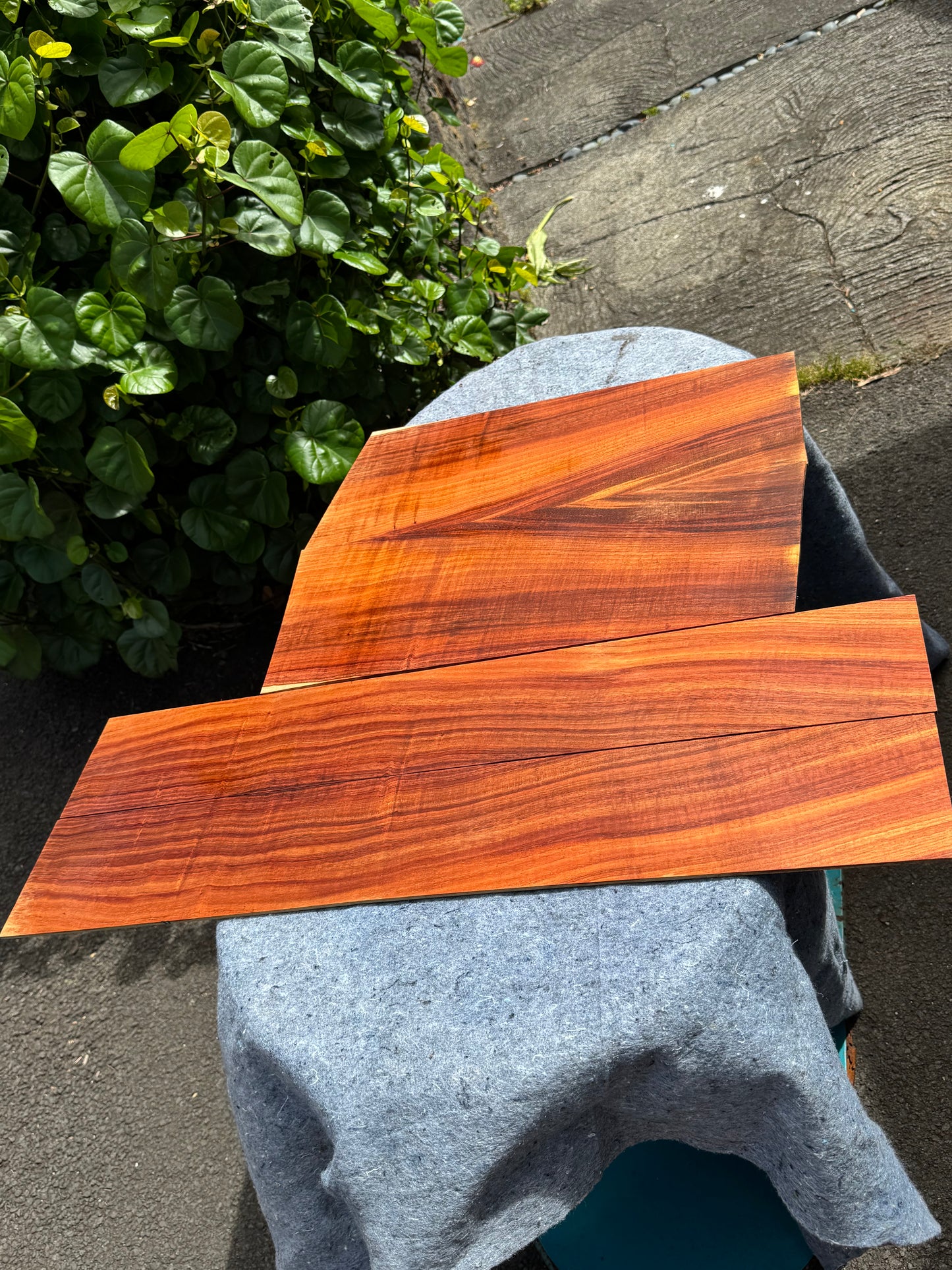 2A Koa Jumbo Guitar 4 piece set