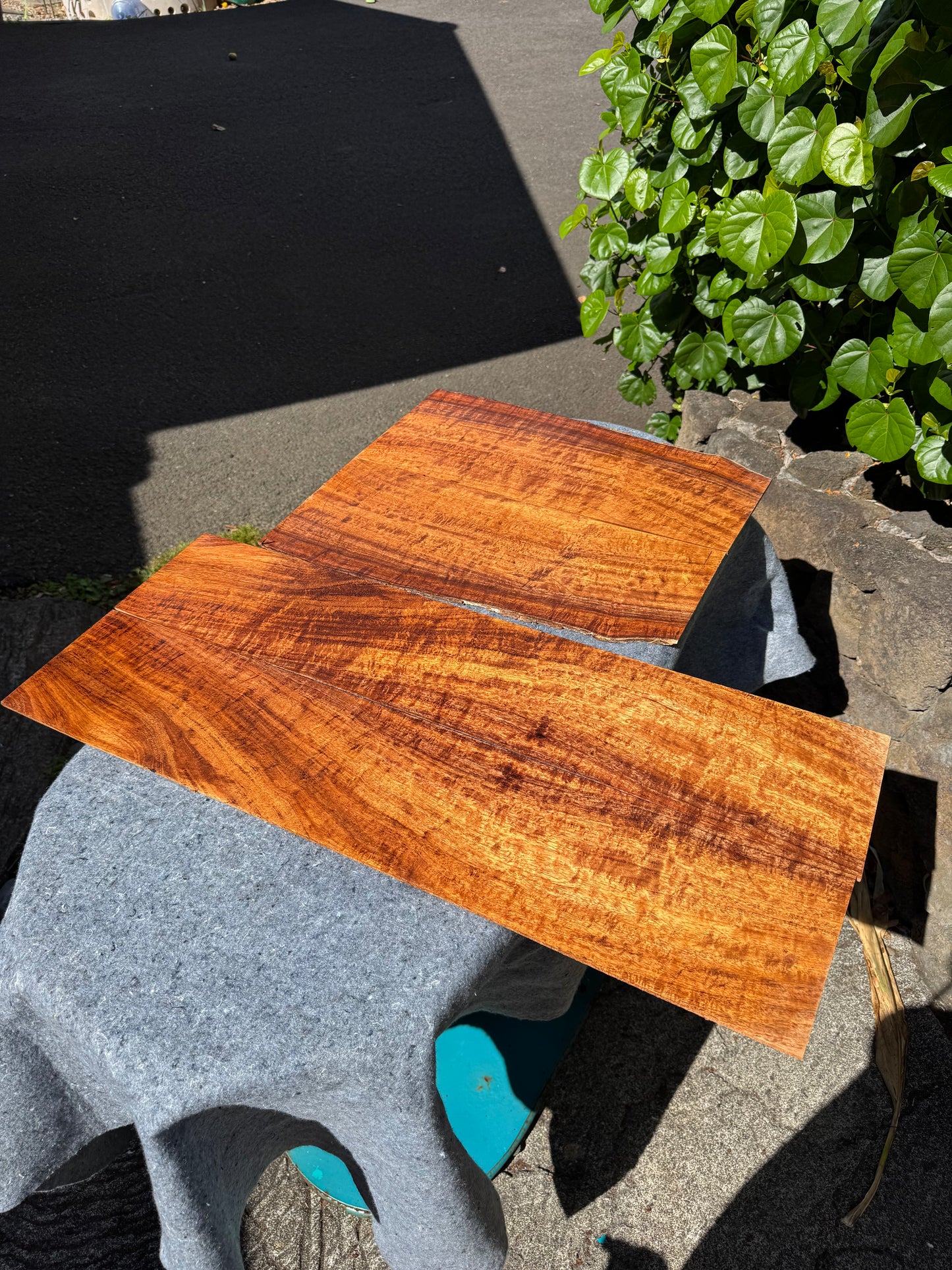 3A Curly Koa Jumbo Guitar 4 piece set