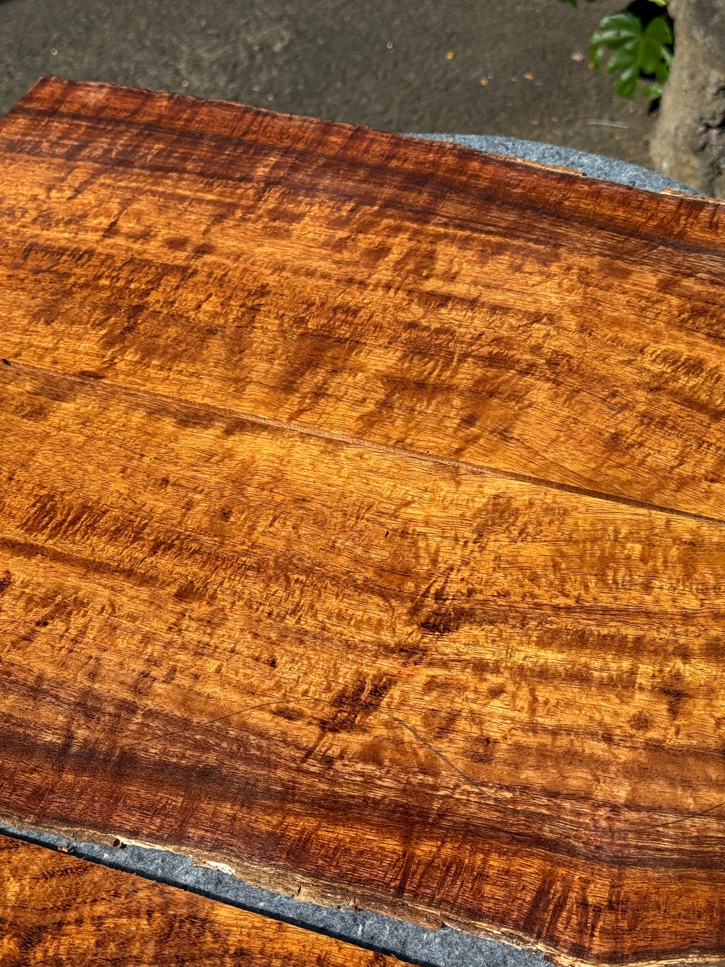 3A Curly Koa Jumbo Guitar 4 piece set