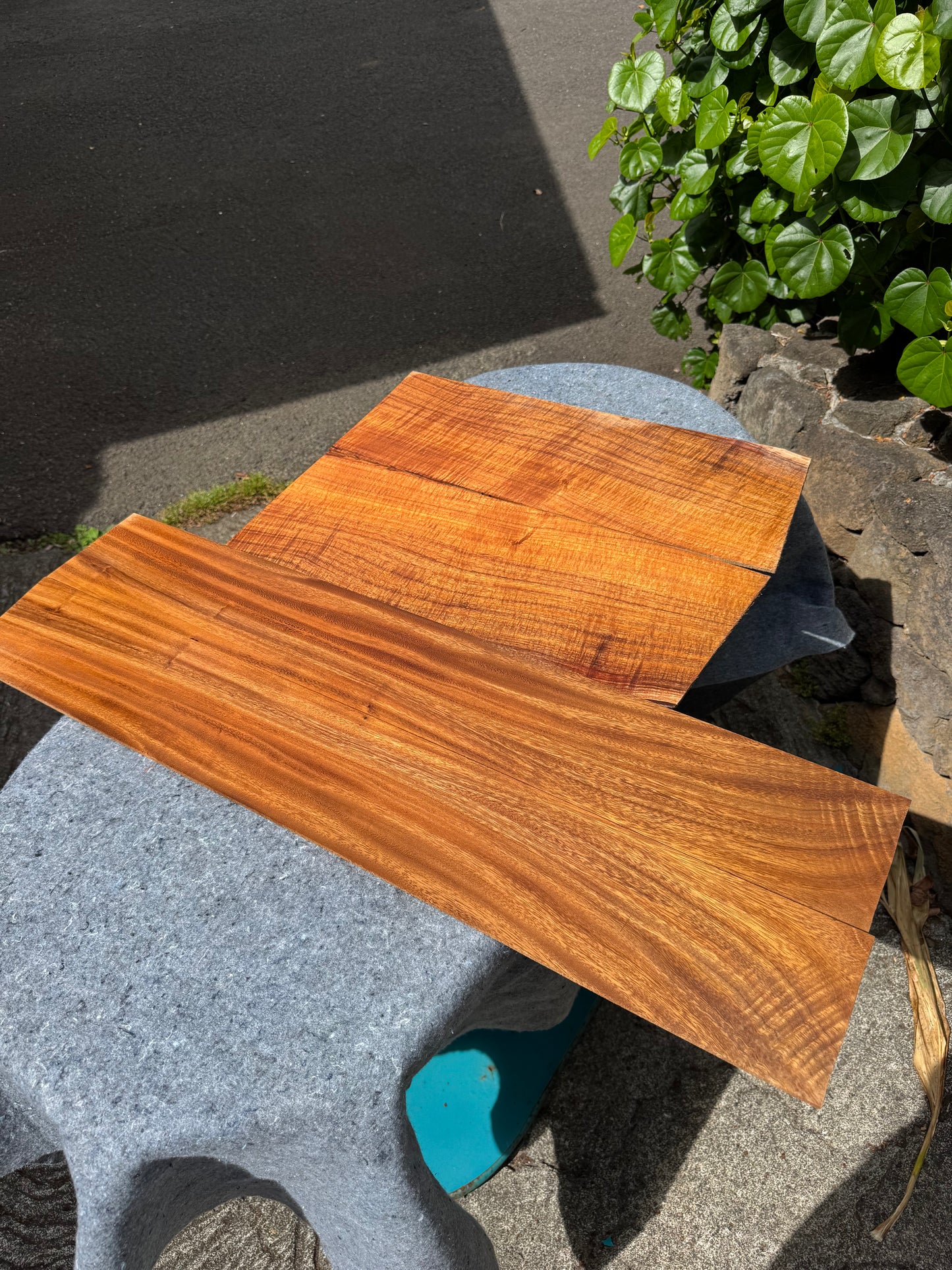 3A Koa Classical CI/000 Guitar 4 piece set