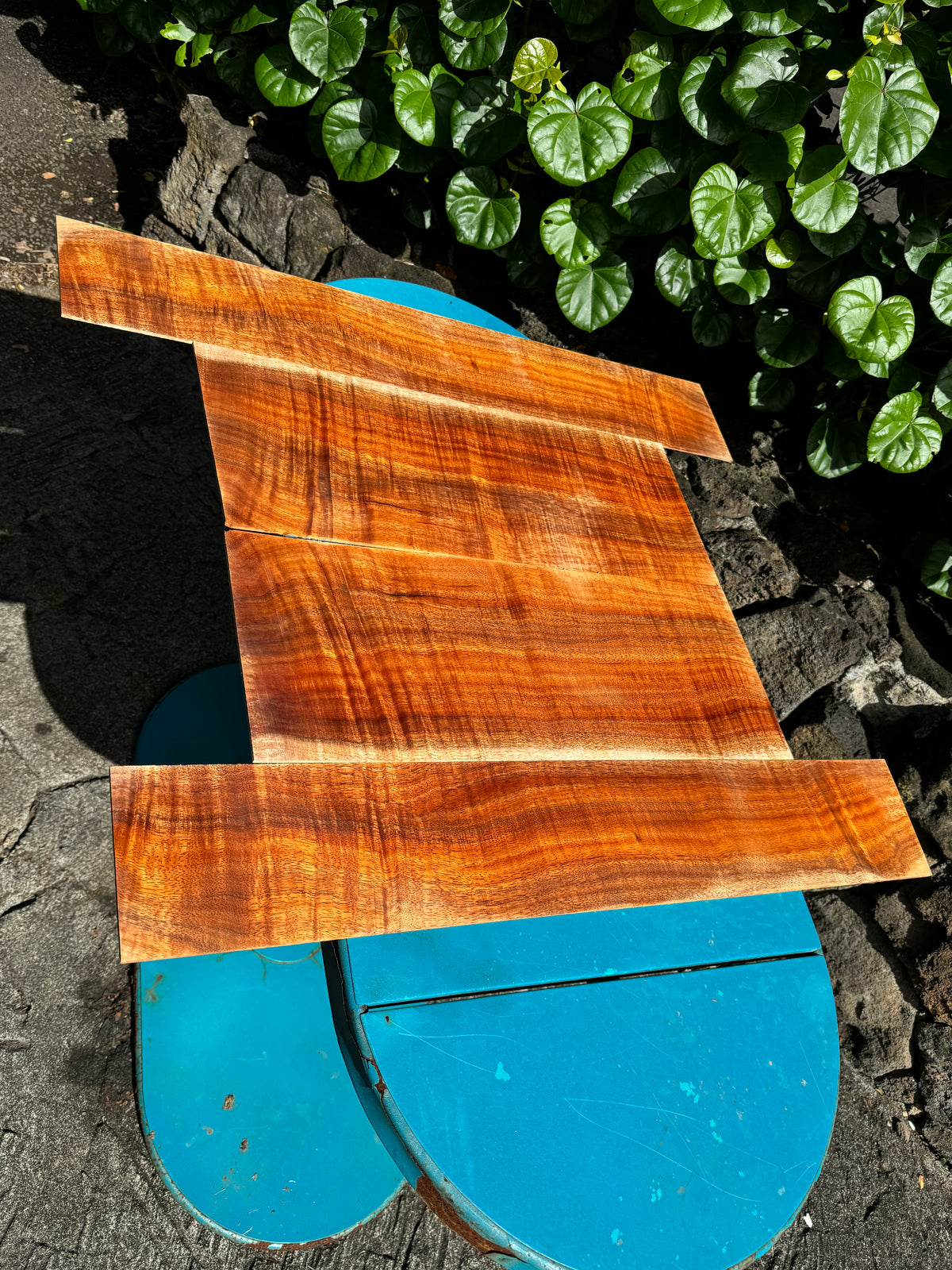 Curly Koa Jumbo Guitar 4 piece set