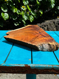 Premium Koa Live Edge wood 19.5”x3-10”x1 1/4”