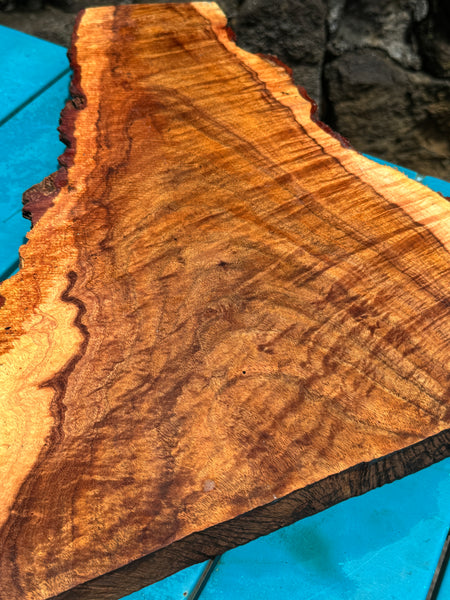 Premium Koa Live Edge wood 16”x3-13.5”x2”