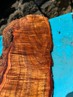 Premium Koa Live Edge wood 19”x4.5”x0-4”