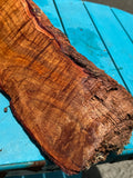 Premium Koa Live Edge wood 19”x4.5”x0-4”