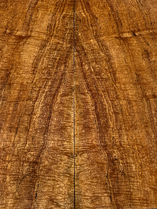 “The Halen” Curly Mango Electric Guitar Drop Top 2@22 3/4”x10”x7/16”