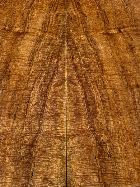 “The Halen” Curly Mango Electric Guitar Drop Top 2@22 3/4”x10”x7/16”