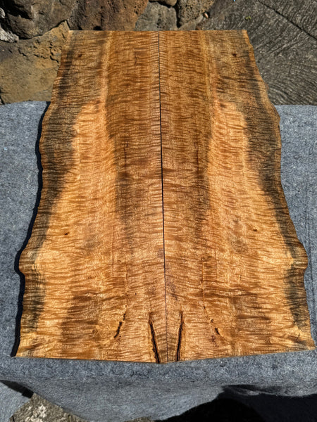 “The Vaughan” Curly Mango Electric Guitar Carved Drop Top 2@24 3/4”x7 3/4-8.5”x7/16 (10mm)”