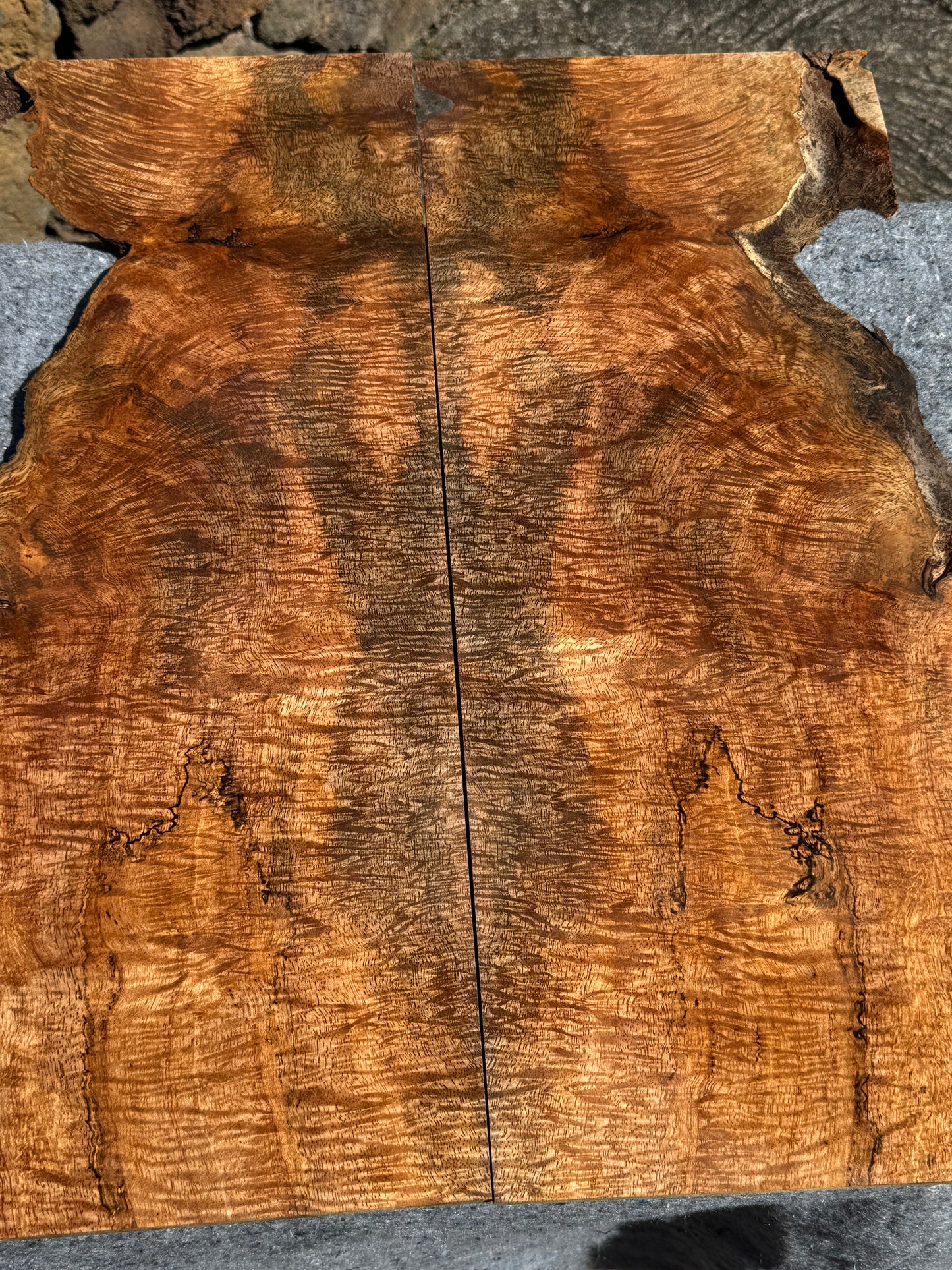 “The Cobain” Curly Mango Electric Guitar Carved Drop Top 2@23”x10”x7/16 (10mm)”