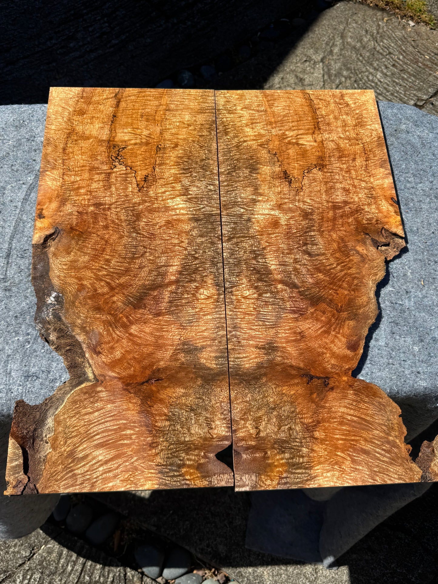 “The Cobain” Curly Mango Electric Guitar Carved Drop Top 2@23”x10”x7/16 (10mm)”