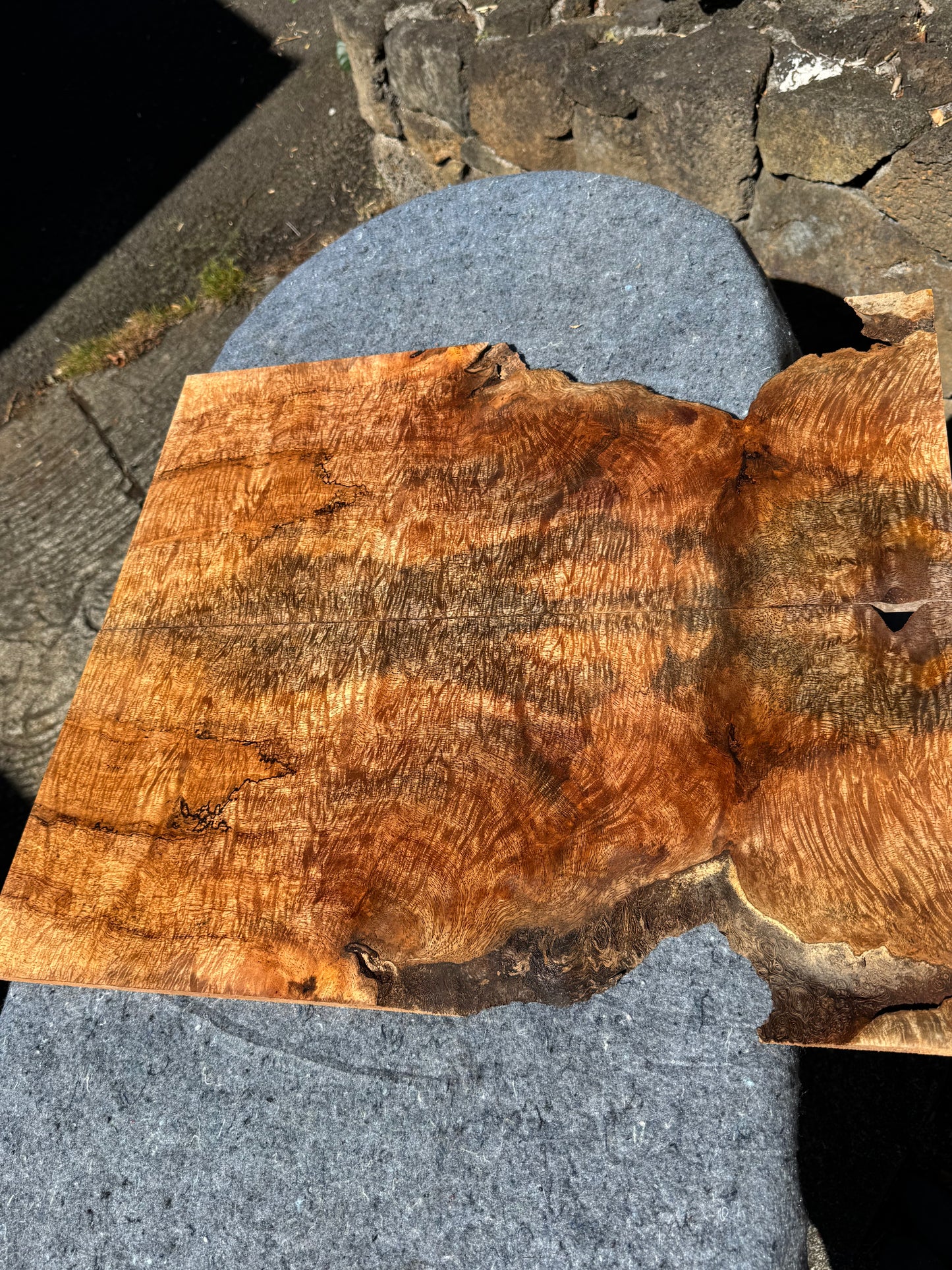 “The Cobain” Curly Mango Electric Guitar Carved Drop Top 2@23”x10”x7/16 (10mm)”