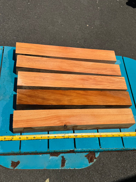 Monterey Cypress Turning Blanks