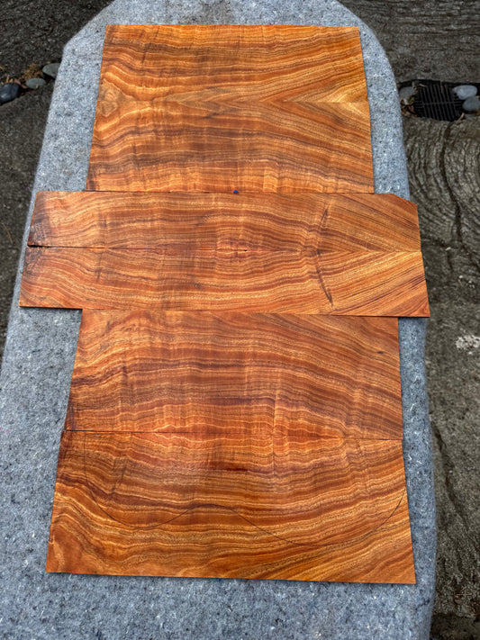 Premium Curly Koa Concert Ukulele 6 piece set