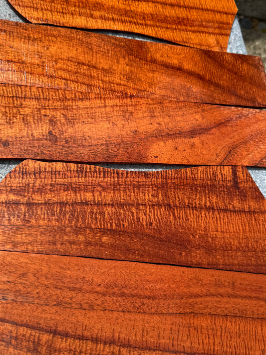 “The Bucco” Master grade Curly Koa 6 piece Tenor Ukulele