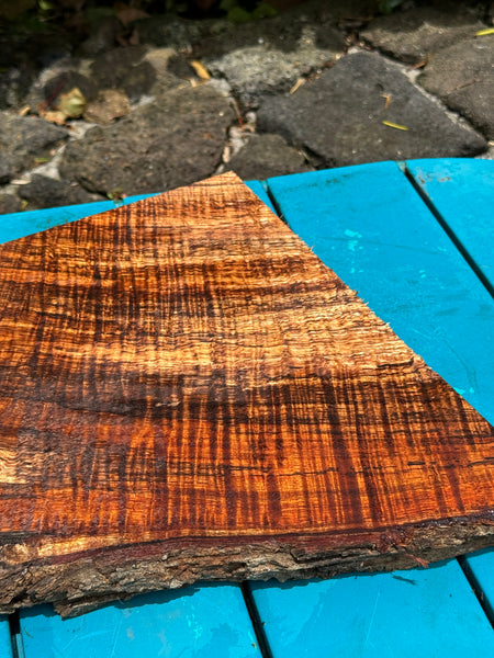 Premium Spalted Curly Koa wood 13”x4-11.5”x1 1/4”