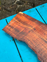 Premium Curly Live Edge Koa 13”x5-6 3/4”x1 1/4”