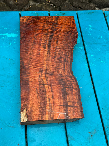 Premium Curly Live Edge Koa 13”x5-6 3/4”x1 1/4”