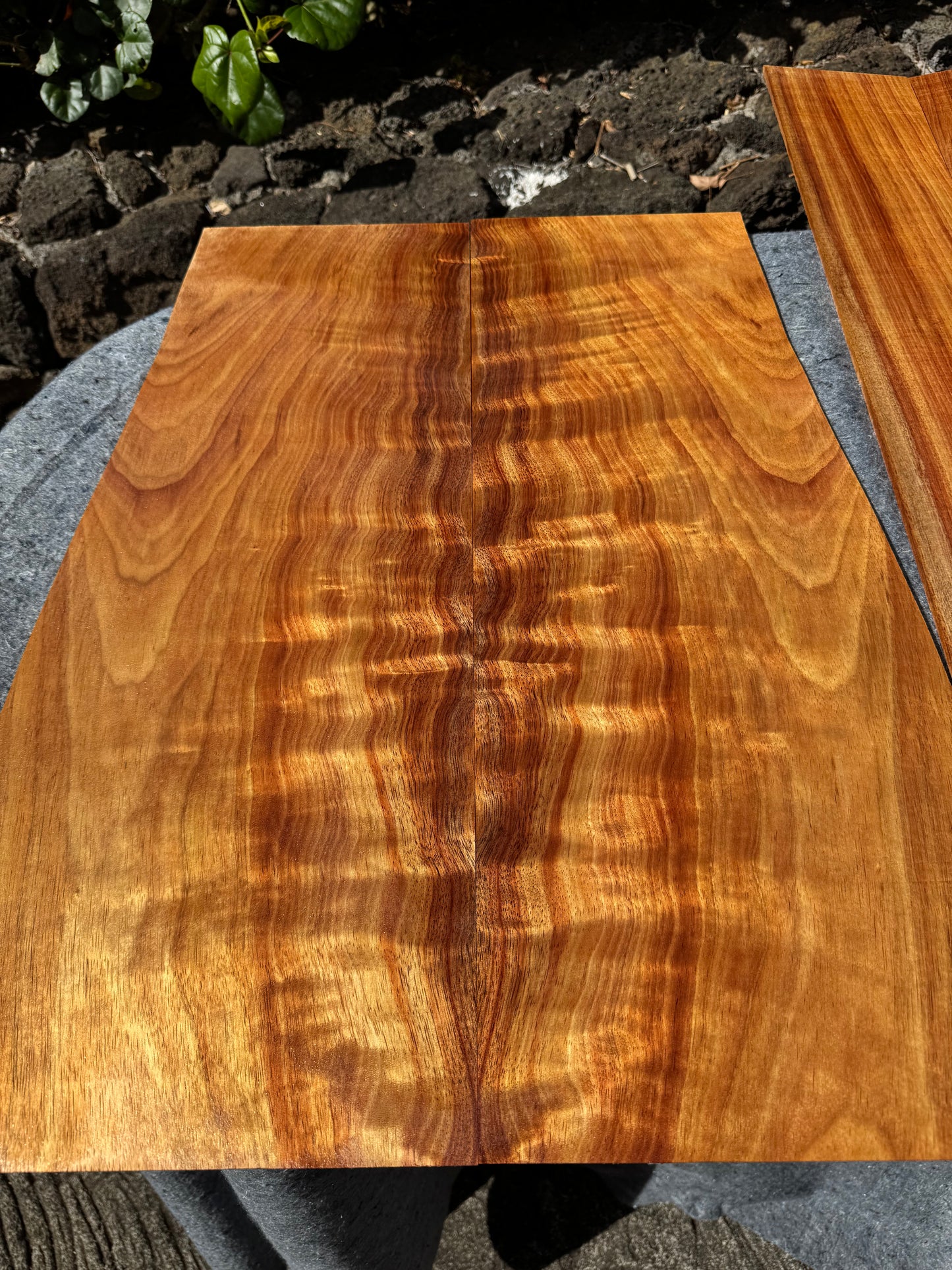 “The Livia” Premium Koa Classical CI/000 Guitar 4 piece set