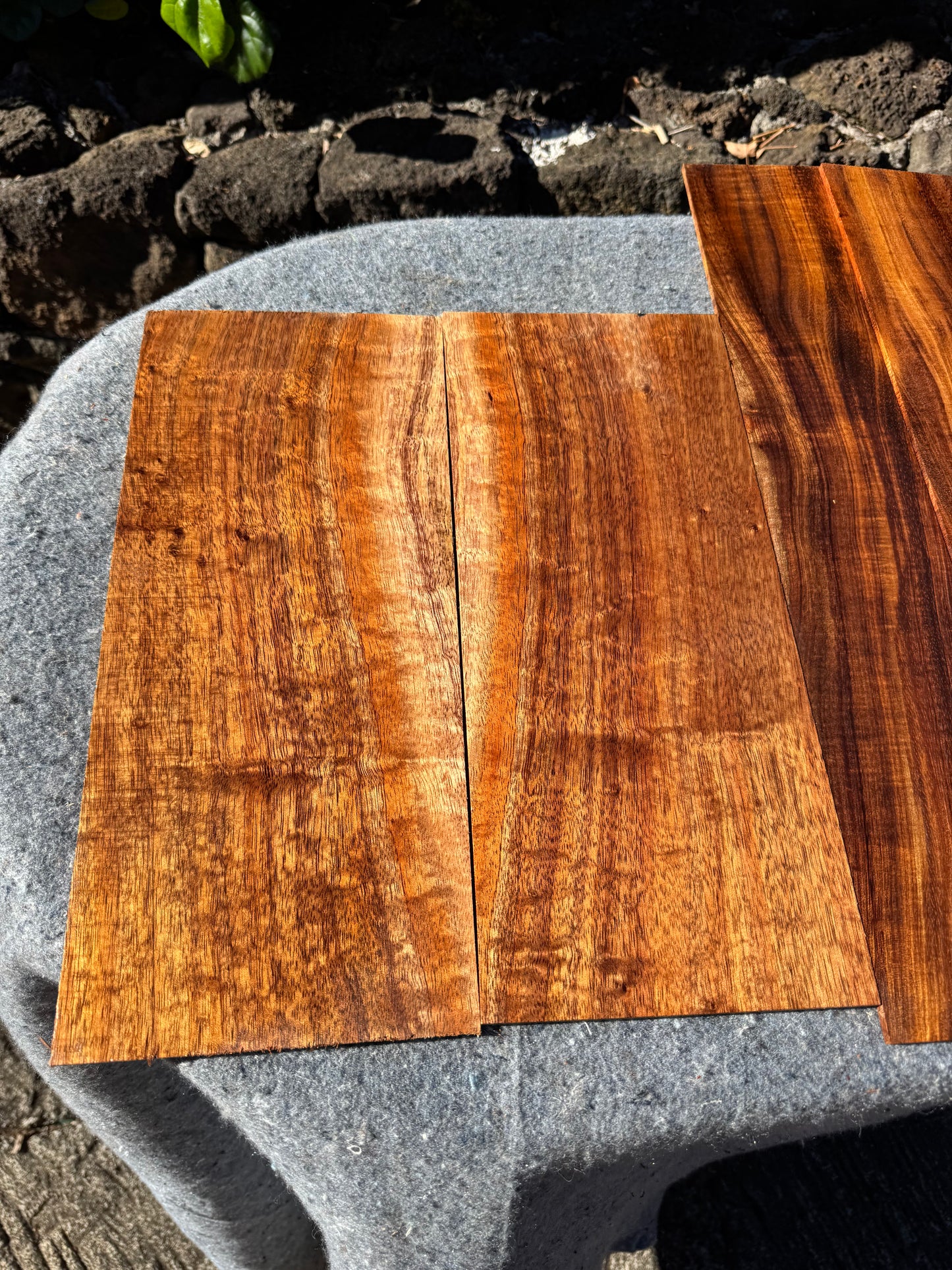 “The Charmaine” Premium Curly Koa 6 piece Concert Ukulele