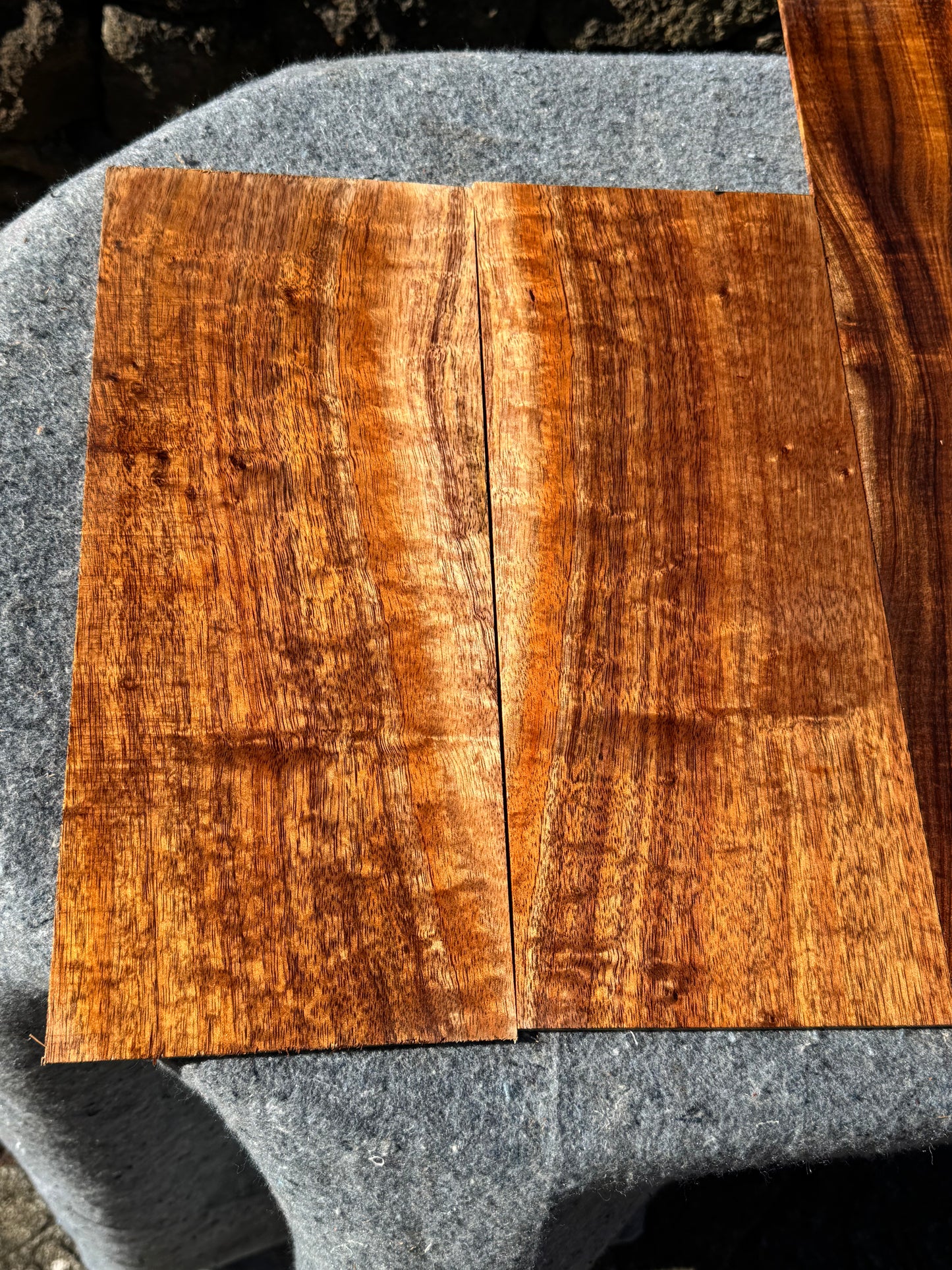 “The Charmaine” Premium Curly Koa 6 piece Concert Ukulele