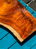 Curly Koa Live Edge Slab 27”x7.5-14”x1”