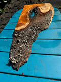 Curly Koa Live Edge Slab 29”x4-13”x1”