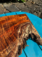 Curly Koa Live Edge Slab Spalted 13”x7.5-14”x1 1/4”