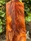 Curly Koa Turning Blank 12”x3.5”x3 3/8”
