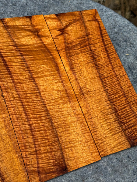 “The Morello” master grade Curly Koa Concert Ukulele 6 piece set