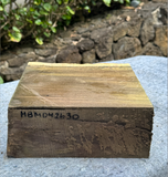 Blue Mahoe Hibiscus Turning Blank 9.5”x9”x3 3/4”