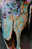 “Dolly”-Hand painted Bull Skull
