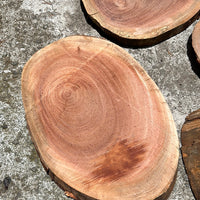 Live edge African Mahogany rounds 17”x11”x1.5”