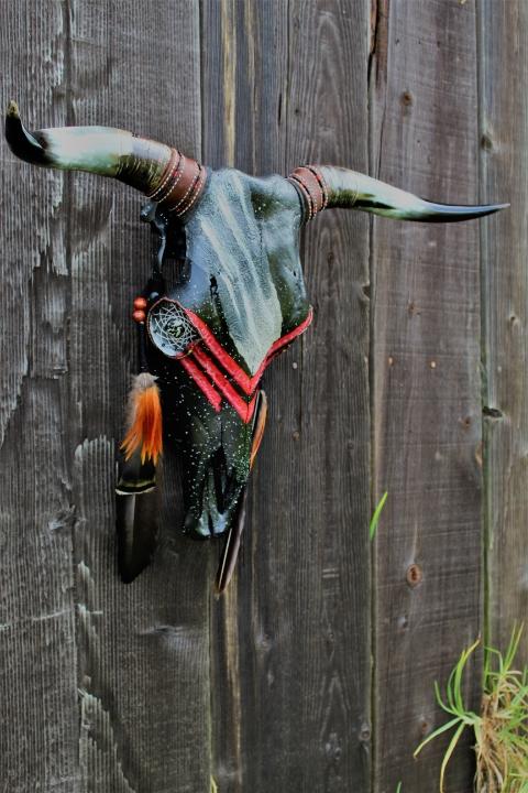 “Red Plume”-Hand painted Bull Skull - Black & Red