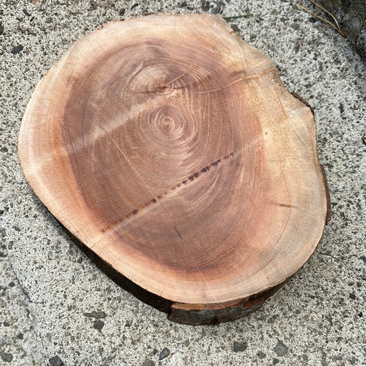 Mahogany live edge cookie round 12”x10.5”x1.5” shipping cost not included and will be invoiced separately.