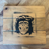 Planet of the Apes Pallette Art