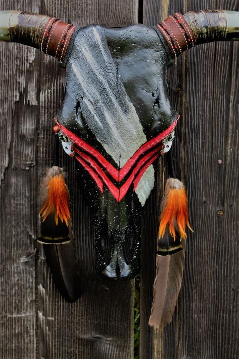“Red Plume”-Hand painted Bull Skull - Black & Red