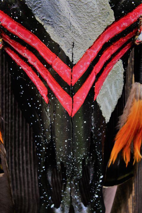 “Red Plume”-Hand painted Bull Skull - Black & Red